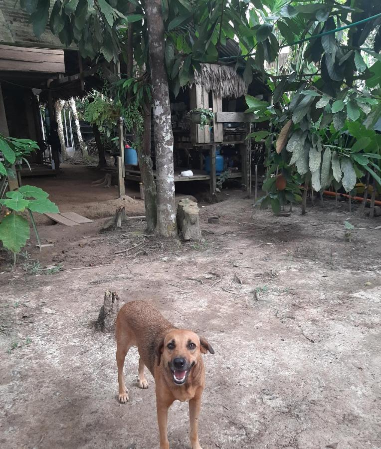 Casa Do Xingu Apartman Leticia Kültér fotó